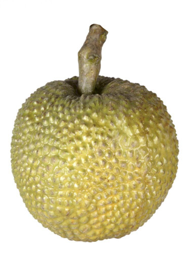 декор durian в Дзержинске