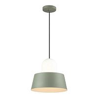 подвесной светильник odeon light alur 4142/1 в Дзержинске