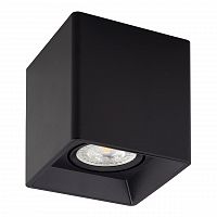 потолочный светильник denkirs dk3030-bk в Дзержинске