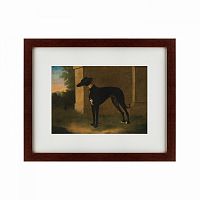 картина: portrait of a greyhound called pompon, 1746 в Дзержинске