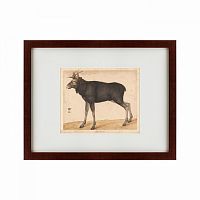 картина: moose, 1560 в Дзержинске