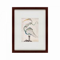 картина: heron encircled by a snake, 1700 в Дзержинске
