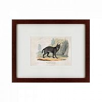 картина: a caracal or lynx, 1830 в Дзержинске