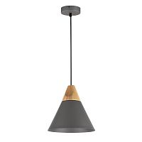 подвесной светильник maytoni bicones p359-pl-220-c в Дзержинске