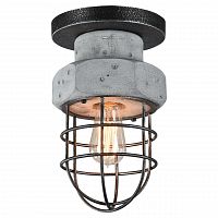 потолочный светильник lussole loft lsp-9701 в Дзержинске