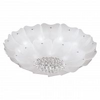 потолочный светильник lightstar lobo 804070 в Дзержинске